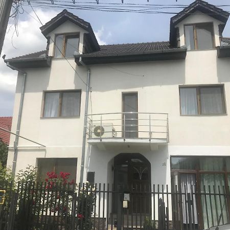 Spacious And Cozy 3Bd+Terrace Couples Apartment ティミショアラ エクステリア 写真
