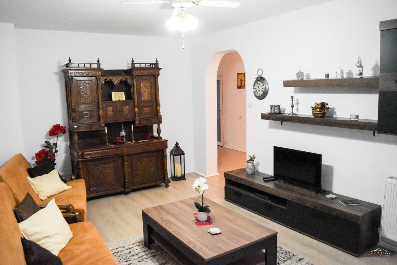 Spacious And Cozy 3Bd+Terrace Couples Apartment ティミショアラ エクステリア 写真