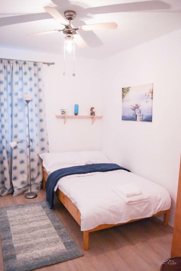 Spacious And Cozy 3Bd+Terrace Couples Apartment ティミショアラ エクステリア 写真