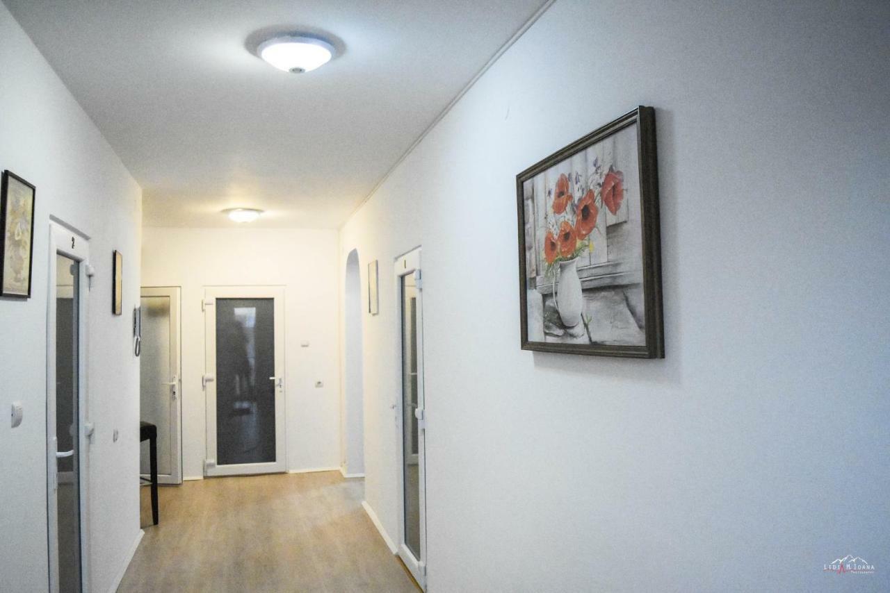 Spacious And Cozy 3Bd+Terrace Couples Apartment ティミショアラ エクステリア 写真