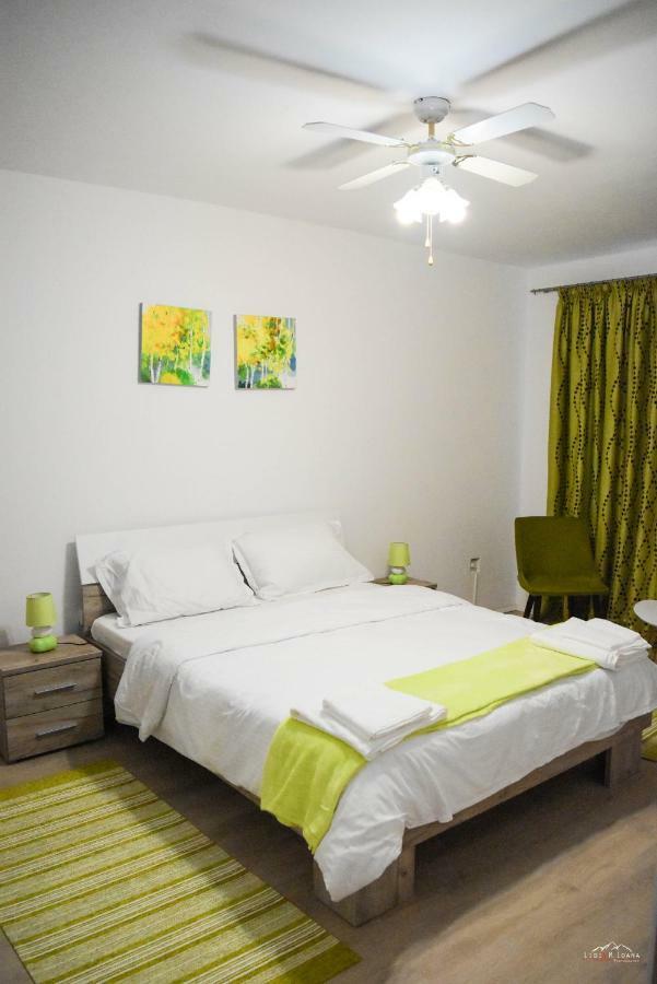 Spacious And Cozy 3Bd+Terrace Couples Apartment ティミショアラ エクステリア 写真