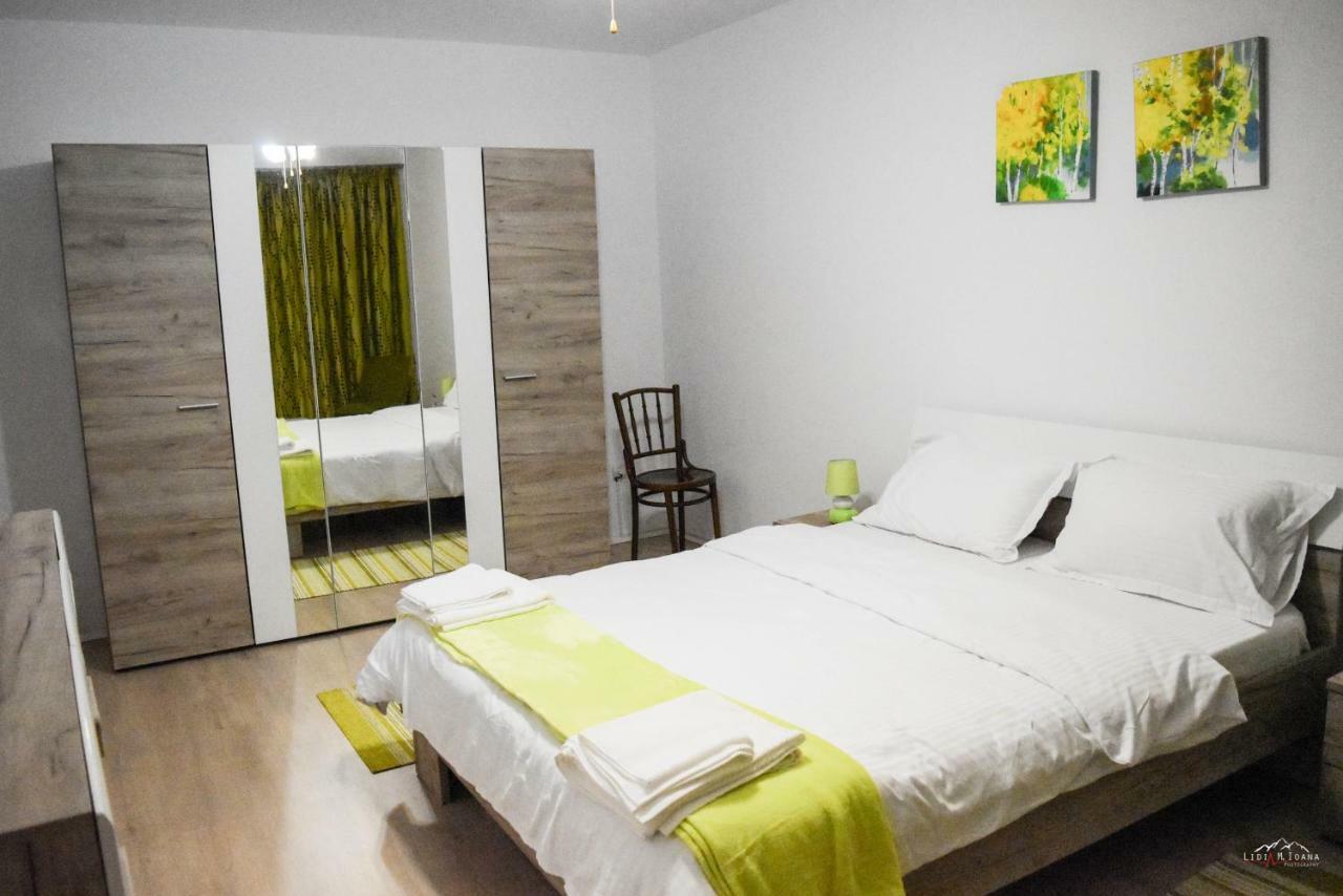 Spacious And Cozy 3Bd+Terrace Couples Apartment ティミショアラ エクステリア 写真