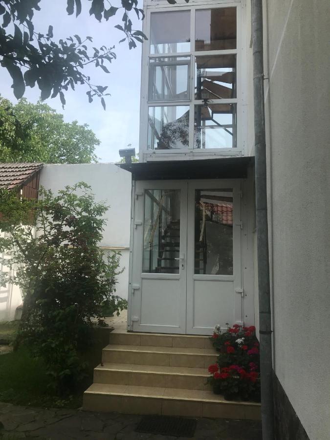 Spacious And Cozy 3Bd+Terrace Couples Apartment ティミショアラ エクステリア 写真
