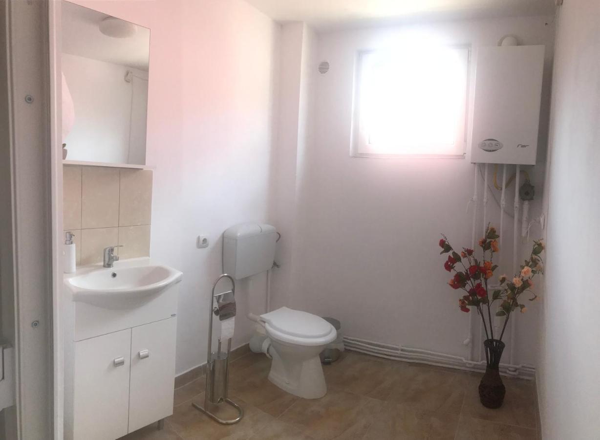 Spacious And Cozy 3Bd+Terrace Couples Apartment ティミショアラ エクステリア 写真